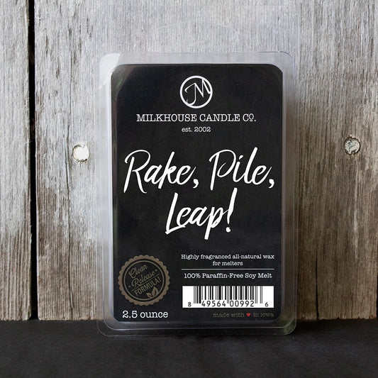 Rake, Pile, Leap! - Small Wax Melts - 2.5 oz - ladymaesboutique